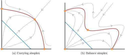 Figure 1. A general diagram of a carrying simplex (left) and balance simplex (right) in red. The diagonal blue line is the unit simplex and the orange points are steady states of the system. The grey curves are solution trajectories of the system.