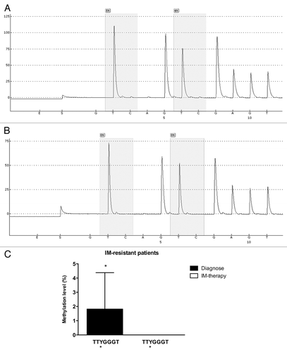 Figure 8. Pyrosequencing analysis of the GC -100 box in CML patients. Representative pyrosequencing analysis for the methylation level (%) at GC -100 box. (A) IM-resistant patient at diagnoses and (B) the same IM-resistant patient at relapse (C) Results are expressed as the mean ± SD for three independent experiments. * Position of potential 5mC (Y).