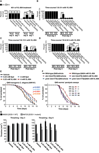 Figure 7. VL-004 kinetics and activity in worm models of neurodegenerative diseases. (A) Stacked bar graph comparing the survival of 1- and 6-days worms (in 200 mM PQ, after 3 h and 6 h) treated with 0.25 mM VL-004 for 48 h. (B-D) Bar graphs showing worms’ survival in 200 mM PQ. The worms (3 days post L1) were treated with 0.25 mM VL-004 for a fixed period of time, and their survival was measured after 3 hours in PQ. 3 and 6 h (B), 9 and 12 h (C), and 16 and 24 h (D). n = 6. Total number of worms: (A) ≥ 133; (B) ≥ 130; (C) ≥ 142; (D) ≥ 138. (E) Kaplan–Meier curves comparing the paralysis rate of AM141 worms grown on 0.25 mM or 4 mM of Spd or VL-004, n = 3, the total number of worms N ≥ 174, Day 0 = L4 stage of development. (F) Paralysis rates of AM141 worms bearing the dct-1(tm376) and pink-1(tm1779) mutations, compared to AM141 controls. n = 3, total number of worms N ≥ 92. (G) Thrashing measurements, AM725 transgenic worms. n ≥ 6. N ≥ 17 worms/per treatment. Asterisks represent significance compared to vehicle control within the comparison group, i.e., wild-type of mutated SOD-1. *p < 0.05, **p < 0.01, ***p < 0.001, ****p < 0.0001, NS = non-significant.