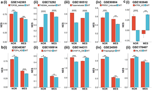Figure 5. Experimental perturbations reveal changes in noradrenergic and mesenchymal programs in bulk RNA-seq data. Barplots depicting experimentally observed significant changes in ssGSEA scores of nor and MES gene signatures in control samples vs. samples with different perturbations in bulk RNA-seq datasets denoted by respective GSE IDs. Error bars represent standard errors in mean values of the replicates and statistically significant differences are indicated by asterisks (*, **, ***, **** for p <.05, <.01, <.001 and <.0001 respectively) for Bonferroni-adjusted p-values.