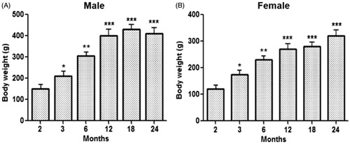 Figure 1. Body weight evaluation of male (a) and female (b) rats performed during the experiment. *Significant vs. 2, 6, 12, 18, and 24 months (p < 0.05). **Significant vs. 2, 12, 18 and 24 months (p < 0.05). ***Significant vs. 2 months (p < 0.001).
