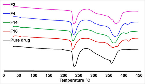 Figure 3 Differential scanning calorimetry (DSC) thermogram of the pure metformin HCl and (F2, F4, F14, and F16).