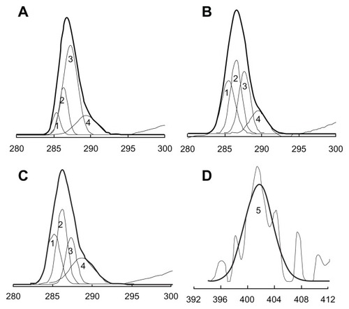 Figure 2 Carbon C1s envelopes from X-ray photoelectron spectroscopy analysis of (A) mixture of maleimide-PEG-PCL:MPEG-PCL (1:10) copolymers, (B) PO without CBSA attached, and (C) CBSA-PO (maleimide-PEG-PCL:MPEG-PCL, 1:10 ratio). (D) Nitrogen N1s envelopes from x-ray photoelectron spectroscopic analysis of CBSA-PO.Abbreviations: PO, polymersomes; PEG, poly(ethylene glycol); CBSA, cationic bovine serum albumin; PCL, poly(ɛ-caprolactone); MPEG, methoxy poly(ethylene glycol).
