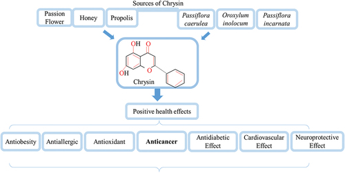 Figure 2. Chrysin sources and health benefits.