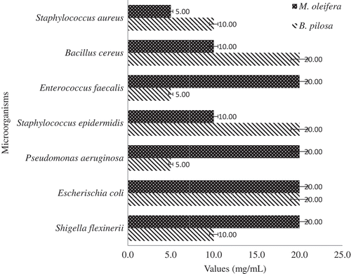 Figure 2. Minimum bactericidal concentrations (MBCs) of Moringa oleifera and Biden pilosa extract on the test organisms.Figura 2. Concentraciones bactericidas mínimas (MBCs) de extractos de Moringa oleifera y Biden pilosa en los organismos examinados.