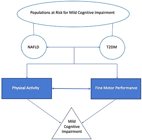 Figure 1. Conceptual model of study. Populations are represented with round shapes, behaviours/cognitive performance variables represented in rectangular shapes, and the condition (mild cognitive impairment) represented by a triangle. The variables that are the focus of the current investigation, physical activity and fine motor performance, are represented by filled shapes.