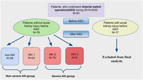 Figure 1. Groups of patients after ASO.