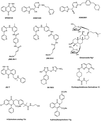 Figure 3. Chemical structures of selective JNK inhibitors.