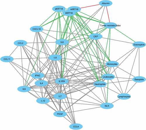 Figure 1. Correlation network of the interrelationships between serum keratin 18 levels, tumor necrosis index, blood immune cells, cytokines, CRP, and albumin. Individual variables are presented by nodes and their associations are presented by edges. Only the correlations with p < .01 are shown and the edge length illustrates the significance of the association. The correlations between tumor necrosis index and keratin 18 levels with other variables are presented by green (positive correlation) and red (negative correlation) edges, whereas the interrelationships between other variables are presented by gray edges.