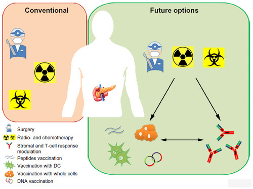 Figure 1 Conventional and future therapies for PDA.