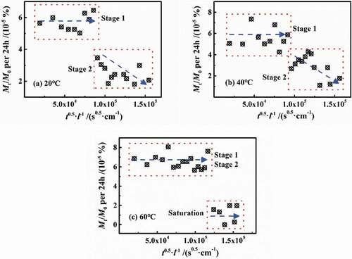 Figure 7. Changes in Mt/M0 in per 24 h vs. t0.5/l at different temperatures