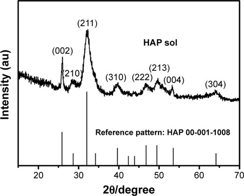 Figure 2 XRD pattern of HAP particles in sol.Abbreviations: HAP, hydroxyapatite; XRD, X-ray diffraction.