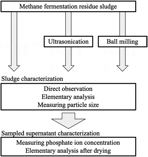 Figure 1. Experimental flow of this study.