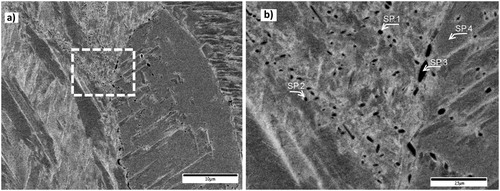 Figure 3. SEM micrograph of the sample quenched from 1100°C, (a) lower magnification, and (b) higher magnification of the selected area in (a). Scale bars in (a) and (b) are 10 and 2.5 µm, respectively. Arrows in (b) show the selected points for EDS analysis.