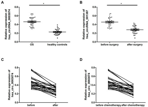 Figure 3 hsa_circ_0003074 expression in the serum of osteosarcoma patients. (A) is the expression of hsa_circ_0003074 in the serum of 40 patients with osteosarcoma and 30 healthy volunteers matched for age and sex. (B) is the expression of hsa_circ_0003074 in serum of 40 patients with osteosarcoma before and after surgery. (C) is the expression of hsa_circ_0003074 in serum of 40 patients with osteosarcoma before and after chemotherapy. (D) is the expression of hsa_circ_0003074 in the serum of osteosarcoma patients who are chemo-sensitive (n=25) and chemo-resistant (n=15). *Indicates that the difference is statistically significant (p <0.05).