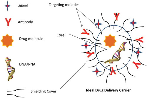 Figure 4A. Ideal drug delivery carrier.