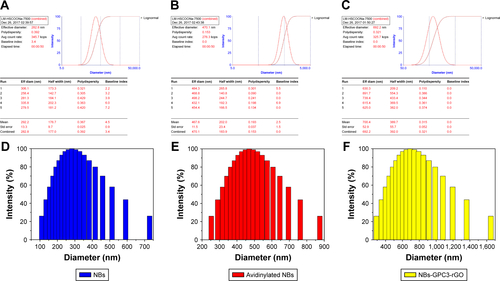 Figure S1 Average particle size of NBs (A and D), Avidinylated NBs (B and E) and NBs-GPC3-rGO (C and F) determined by dynamic light scattering (DLS) analysis. The three curves (D–F) of average particle size were analyzed by Shapiro-Wilk test to explain that all three groups of data followed a Gaussian distribution.Abbreviations: GPC3, heparin sulfate proteoglycan glypican-3; NBs, nanobubbles; rGO, reduced graphene oxide.