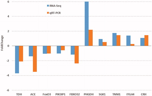 Figure 4. Validation of the 10 DEGs from RNA-Seq analysis by qRT-PCR. The direction and magnitude of the fold changes obtained using the quantitative RT-PCR technique were similar to those of the RNA-Seq.Note: TDH: L-threonine 3-dehydrogenase; ACE: Angiotensin I-converting enzyme; FOXO3: Forkhead box O3; PIK3IP1: Phosphoinositide-3-Kinase Interacting Protein 1; FBXO32: F-Box Protein 32; PHGDH: D-3-phosphoglycerate dehydrogenase; SGK1: Serine/threonine-protein kinase; TNNI1: Troponin I1, Slow Skeletal Type; ITGA4: Integrin Subunit Alpha 4; CRH: Corticotropin Releasing Hormone.