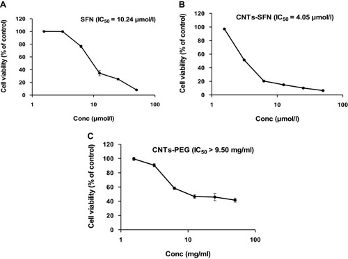 Figure 7 In vitro anti-proliferative activity of SFN (A), CNTs-SFN (B) and CNTs-PEG (C) against HepG2 cells. Cell viability was measured by MTT assay and IC50 values were calculated by GraphPad Prism software version 6.0. Data are presented as the mean ± SD from three independent experiments.Abbreviations: CNTs-PEG, PEGylated CNTs; SFN, sorafenib; CNTs-SFN, SFN-loaded CNTs.