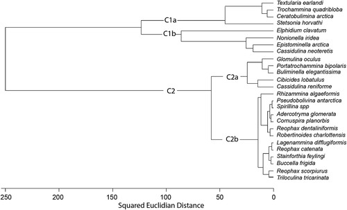 Figure 9. R-mode cluster dendrogram showing two major clusters of species (C1 and C2) as well as the division of C1 into C1a and C1b