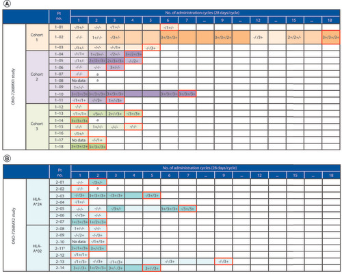 Figure 3. Peptide-specific CTL response in patients evaluated in (A) the ONO-7268MX1 study and (B) the ONO-7268MX2 studies.Cells with red borders indicate the cycle of discontinuation. Data are represented as GPC3/WDRPUH/NEIL3: measured at the time of cycle completion. Result of evaluation: negative (−), positive (+; 1+–3+) and blank (no data). The indicators (−, +, ++ and +++) represent the amount of peptide-specific spots and invariability of peptide-specific spots at different responder/stimulator ratios. aProgression of disease discontinued in the midst of the first cycle. bPatients with both HLA-A*24 and HLA-A*02.CTL: Cytotoxic T lymphocyte; GPC3: Glypican-3; NEIL3: Nei endonuclease VIII-like 3; No.: Number; Pt: Patient; WDRPUH: WD-repeat-containing protein up-regulated in hepatocellular carcinoma.