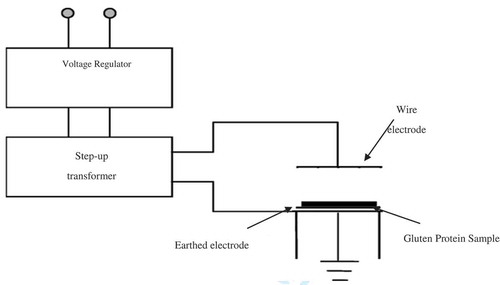 FIGURE 1 Schematic of the static high electric field treatment system.