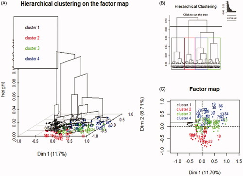 Figure 4. The results of the Hierarchical Clustering on Principal Components (HCPC) analysis. The 3D tree (A) displaying the hierarchy of the variables affecting the most the creation of the four clusters, the representation of the chosen height (0.06) to perform the cut of the hierarchical clustering tree (B), and the (Multiple Correspondence Analysis (MCA) biplot with the four clusters obtained from HCPC analysis (C).