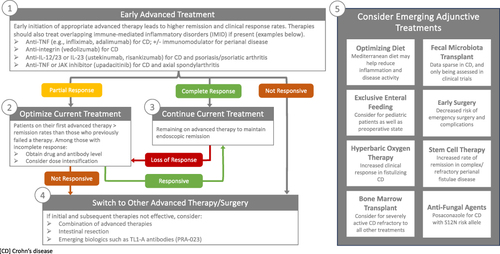 Figure 1 Management of Refractory Crohn’s Disease.