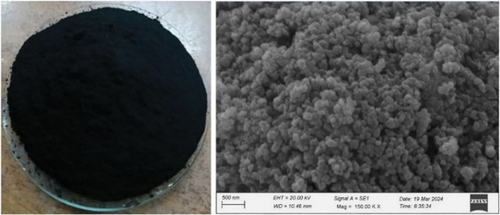 Figure 3. Photograph and morphology of NSPC particle.