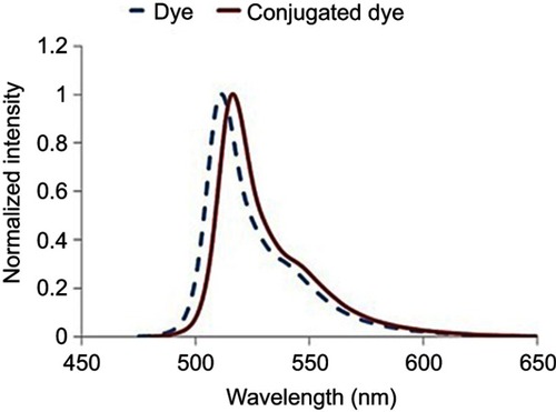 Figure 7 Fluorescence spectroscopy of labeled conjugate.