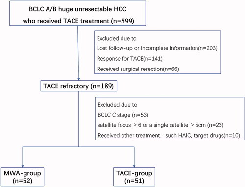 Figure 1. Flow diagram of the patient enrollment process in this study. BCLC: the Barcelona Clinic liver cancer; HCC: hepatocellular carcinoma; MWA: microwave ablation; TACE: transarterial chemoembolization.