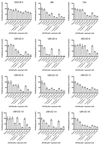 Figure 7. Sensitivity of all 12 bladder cancer cell lines to various combinations of AZ7328 and rapamycin as measured in a 120 h MTT assay.