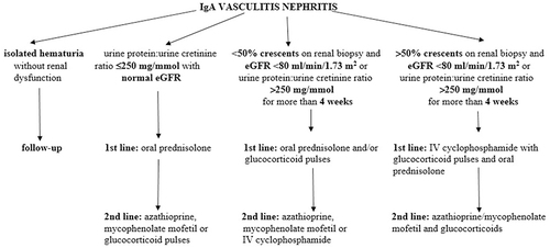 Figure 2 The SHARE recommendations for IgAVN treatment. Data from Ozen et al.Citation35 Jelusic M, Sestan M, Giani T, Cimaz R. New insights and challenges associated with IgA vasculitis and IgA vasculitis with nephritis-is it time to change the paradigm of the most common systemic vasculitis in childhood? Front Pediatr. 2022;10:853724. Creative Commons.Citation36