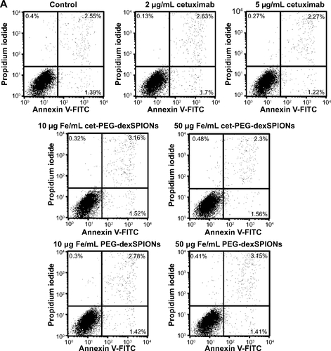 Figure S6 Apoptosis-inducing activity of cet-PEG-dexSPIONs in differential EGFR-expressing cell lines analyzed by an Annexin V-FITC/propidium iodide assay.Notes: 32D (A), 32D/EGFR (B) and A431 (C) cells (1×105 cells) were incubated in 0.5 mL of complete medium containing cetuximab (2 or 5 μg/mL) or iron oxide nanoparticles (25 or 50 μg Fe/mL). Tumor cell lines with different levels of EGFR expression (1×105 cells) were incubated in 0.5 mL of complete medium containing cetuximab (2 or 5 μg/mL) or iron oxide nanoparticles (25 or 50 μg Fe/mL). After incubation for 24 hours, these cells were harvested and double-stained with FITC-conjugated Annexin-V and propidium iodide. The cell populations as a percent of the total cells were assessed by flow cytometry. The arrow indicates a significant increase in the cell population after the cells were treated with cet-PEG-dexSPIONs at the indicated concentrations. Annexin V-FITC-negative/propidium iodide-negative, viable cells; Annexin V-FITC-positive/propidium iodide-negative, early apoptotic cells; Annexin V-FITC-negative/propidium iodide-positive, dead cells; Annexin V-FITC-positive/propidium iodide-positive, late apoptotic cells and necrotic cells.Abbreviations: cet, cetuximab; dex, dextran; EGFR, epidermal growth factor receptor; FITC, fluorescein isothiocyanate; PEG, polyethylene glycol; SPIONs, superparamagnetic iron oxide nanoparticles.