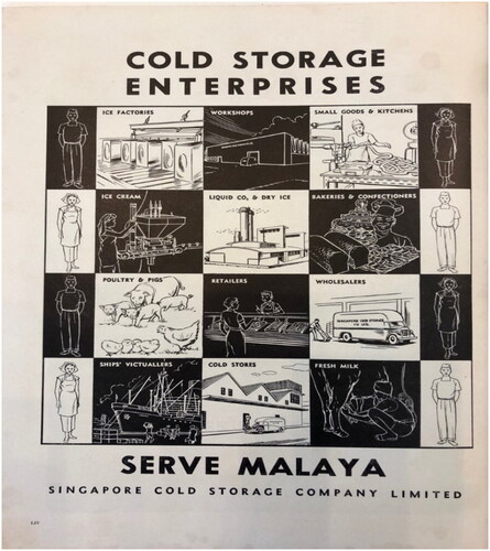 Figure 4. Cold Storage advertisement 1, 1956. The Straits Times Annual.