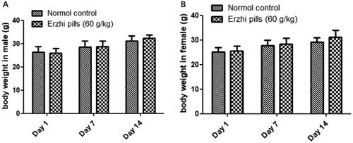 Figure 2. Effects of oral Erzhi pills on body weight in mice. (A) Male mice treated with Erzhi pills in acute toxicity test. (B) Female mice treated with Erzhi pills in acute toxicity test. Data are means ± SD, N = 10.