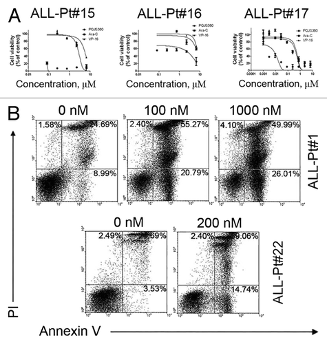 Figure 6. PQJS380 induced apoptosis in acute lymphoblastic leukemia primary cells. (A) PQJS380 inhibited growth (percent relative to control) in primary ALL cells. Primary cells were exposed to escalating concentrations of PQJS380 for 72 h, and cell viability was assayed by MTS. (B) Primary ALL cells were exposed to the indicated concentrations of PQJS380 for 48 h, and then underwent Annexin V/ PI double staining by flow cytometry. The representative data from the acute lymphoblastic leukemia patients were shown.