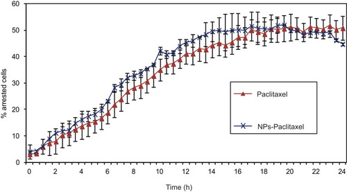 Figure 5 The effect of Paclitaxel-loaded PPSu-PEG NPs on tubulin. HeLa K cells stably expressing GFP-α-tubulin/mcherry-histone H2B were imaged for 24 h with 10-minute intervals, after the addition of 250 nM free Paclitaxel or encapsulated in PPSu-PEG NPs, and the number of cell cycle arrested cells were counted. Graph demonstrates the % of arrested cells by either Paclitaxel or Paclitaxel-loaded PPSu-PEG NPs, as measured during 24 h of live cell monitoring. At least 100 cells were imaged, per condition per experiment.