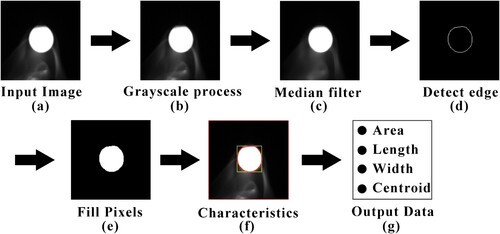 Figure 9. High-speed image processing flow for obtaining DOM.