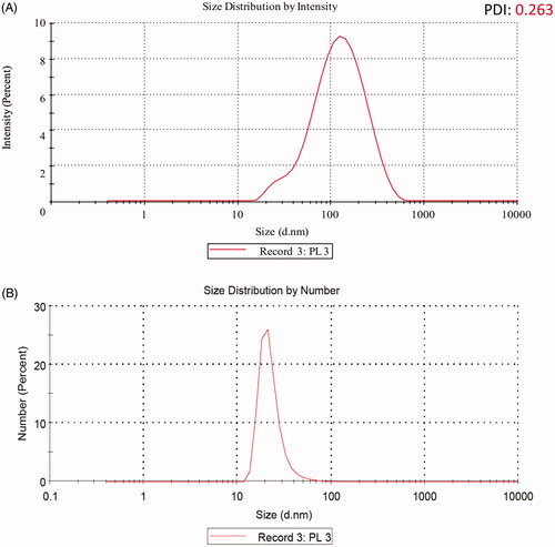 Figure 8. Particles size analysis of SNPs (a) size distribution by intensity is representing that most of the nanoparticles have a hydrodynamic diameter in between 17 and 500 nm, while the polydispersity (PDI) was recorded at 0.263 (b) size distribution by number is representing that most of the nanoparticles have a size range of 12–42 nm while the average size of single NP was observed 15.55 nm.