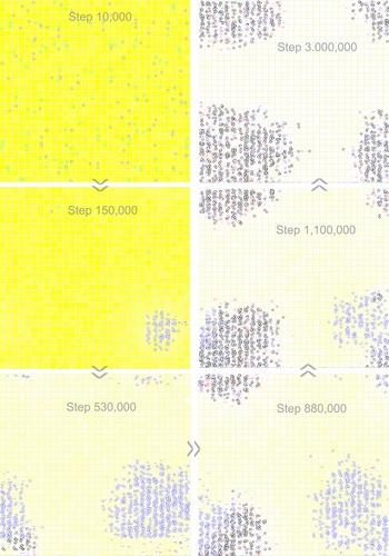 Figure 8. Snapshots showing the deriving of a two-gene circular genome from a one-gene circular genome with a noncoding sequence. Raw materials (nucleotide precursors) are shown as yellow background, with colour depth representing their quantity in the corresponding grid room. At step 10,000, a hundred circular RNA molecules with the REP sequence and a noncoding sequence (blue circles), together with the same number of control RNA molecules (green circles), are inoculated into the system (at locations chosen randomly). The snapshot at step 150,000 shows the spread of the circular genome containing REP. The snapshot at step 530,000 indicates the emergence of the REP-NR circular genome (black circles in the bottom-left region). The snapshot at step 880,000 shows the spread of the REP-NR circular genome. The snapshot at step 1,100,000 shows further spread of the REP-NR circular genome and the simultaneous decline of the genome containing only REP (blue circles). Note that red circles denote the circular genome containing only NR. The snapshot at step 3,000,000 indicates the ‘absolute domination’ of the REP-NR genome in the system. See Figure 7B for the evolutionary dynamics of this case.