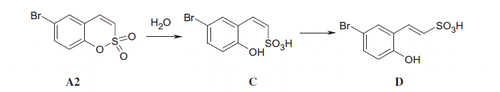 Scheme 1. Active site, CA-mediated hydrolysis of A2 to DCitation1.