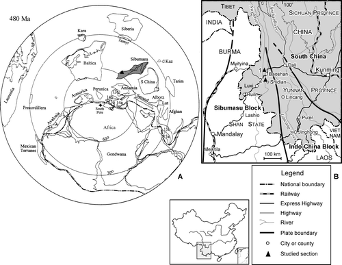 Fig. 1. Location of the Laojianshan section, Baoshan and the Banpo section, Shidian, west Yunnan, China. A, Location of the study area (triangle) and the Sibumasu Block on a reconstruction map of the Southern Hemisphere Ordovician (see Fortey & Cocks Citation2003 for abbreviations). B, Location and accessibility of the Laojianshan (1) and Banpo (2) sections in west Yunnan, China.