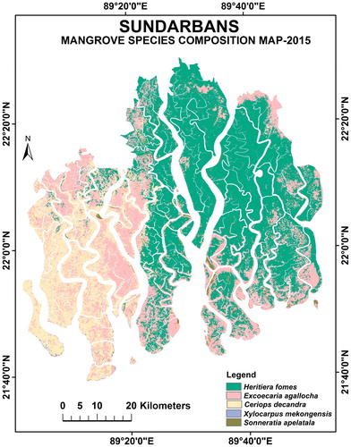Figure 4. Mangrove species composition map of the Bangladesh Sundarbans for the year 2015. Source: Author.
