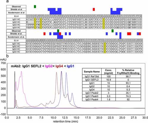 Figure 5. (a) Aligned sequences of CH2 region of human IgG heavy chains (EU numbering system). IgG Fc residues involved in FcγRIIIa binding are highlighted in green (measured experimentally in this study) and blue and red (reported in literature), and disulfide bonds are highlighted in yellow. Residues that differ from the IgG1 sequence are indicated in bold. (b) UV chromatogram (λ = 280 nm) of four variants of mAb2 having identical Fab regions and differing Fc regions corresponding to IgG1 (blue), IgG2 (magenta), IgG4 (maroon), and IgG1 SEFL2 with N297G mutation (black). The inset shows relative FcγRIIIa binding affinity values from AlphaLISA measurements. Affinity is measured relative to the IgG1 variant of mAb2 reference standard material