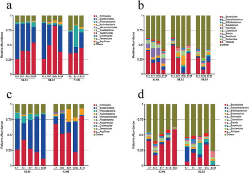 Figure 1. Relative abundances in the gut microbiota at the phylum and genus levels. (a) Top ten phylum abundances in the gut microbiota from mission one. (b) Top ten genus abundances in the gut microbiota from mission one. (c) Top ten phylum abundances in the gut microbiota from mission two. (d) Top ten genus abundances in the gut microbiota from mission two.