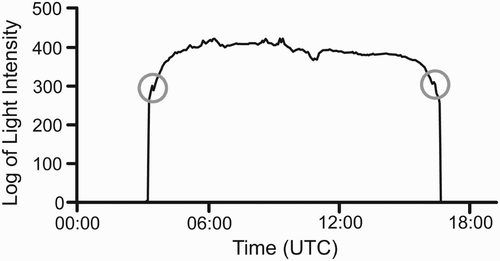 Figure 1. Light-intensity curve showing aberrations at dawn and dusk (circled) that we believe occur as a result of the birds' roosting behaviour. The light scale is arbitrary because the measurements are not calibrated.