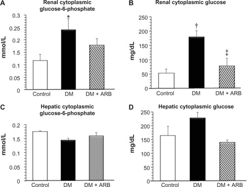 Figure 5 Cytoplasmic glucose-6-phosphate (A and C) and glucose (B and D) levels in the kidney (A and B) and liver (C and D).