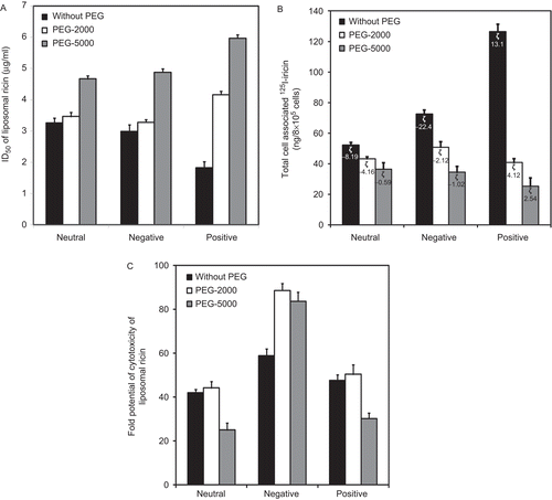 Figure 5.  Effect of variation of chain lengths of PEG (5 mol%) on the surface of variously charged liposomes on cellular uptake and the cytotoxicity of entrapped ricin in KB cells: Effect of monensin. The monolayer cultures were pre-incubated with or without 50 nM monensin for 1 h at 37°C. (a) For assessment of the cytotoxicity of liposomal ricin, the cells were incubated with different concentrations of various charged conventional (▪) and PEGylated liposomal ricin having PEG-2000 (□) and PEG-5000 (▪) on the surface, for 4 h at 37°C. The inhibition of protein synthesis was then measured by 3H-leucine incorporation into proteins as described in ‘Materials and methods’. The ID50 of liposomal ricin are calculated as percentage of incorporation of 3H leucine into proteins by untreated cells, i.e. the control. (b) For binding study, cells were incubated with various charged conventional (▪) and PEGylated liposomal ricin (8 μg 125I-ricin/0.50–0.75 μmol of phospholipids/ml/well) having PEG-2000 (□) and PEG-5000 (▪) on the surface, for 4 h at 4°C. After incubation, cells were washed three times with ice-cold DBSS. The binding of liposomal ricin is expressed as cell-associated liposomal ricin after 4 h incubation. (c) The fold potentiation of the cytotoxicity of liposomal ricin was calculated by dividing ID50 of ricin in the absence of monensin with ID50 in the presence of monensin (50 nM). Each bar represents mean ± SD (n = 3). (ζ = Zeta potential on the surface of liposomes.).