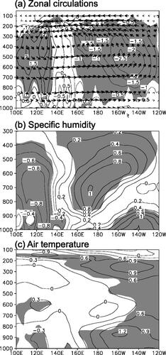 Fig. 5. Composite differences of longitude–pressure cross section of (a) vertical velocity (contours) and zonal circulations (vectors), (b) specific humidity, and (c) air temperature averaged along 0°-20°N between El Niño years and La Niña years for JJAS. The values of vertical velocity are multiplied by −100. Bold arrows and shaded areas are significant at the 90% confidence level. Contour intervals are 0.5−2hPa s−1 for vertical velocity, 0.2 g kg−1 for specific humidity, and 0.3 °C for air temperature, respectively.
